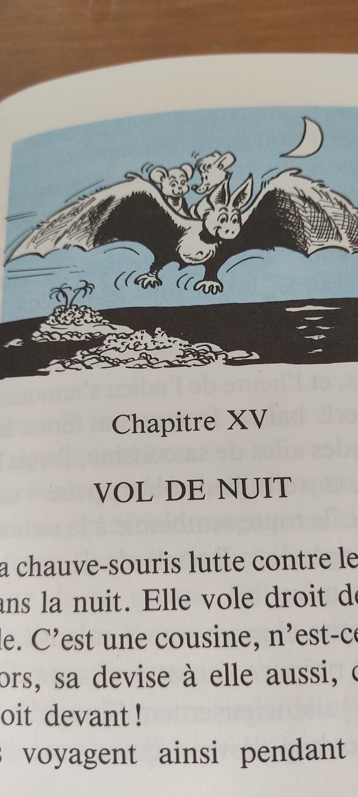 Saperli, le raton voyageur - photo numéro 4