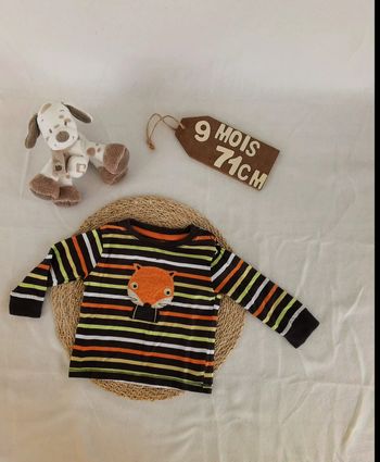 Tee-shirt 👣 renard 🦊, 9 mois