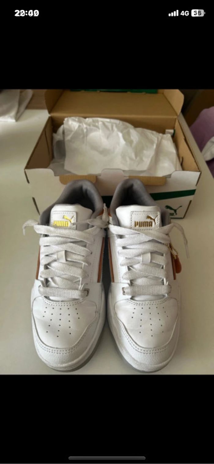 Basket puma