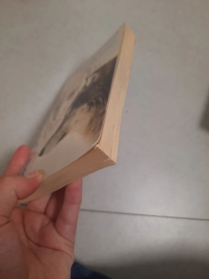 Pocket jeune adulte - photo numéro 4