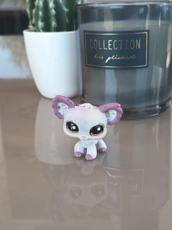 Littlest Pet Shop #1138 grey purple chihuahua dog