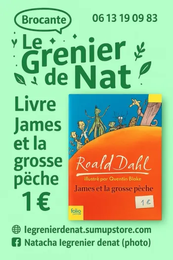 Livre james et la grosse pêche