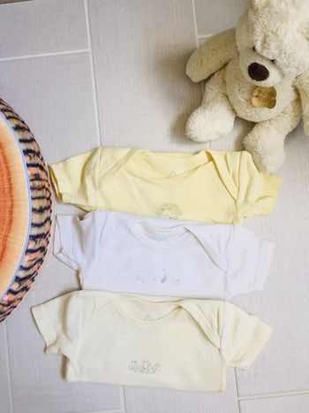 Lot de 3 bodies 6 mois Grain de ble