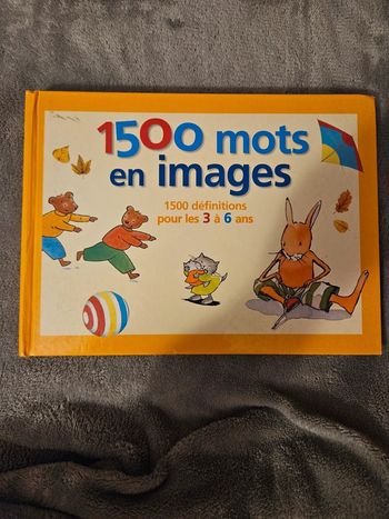 1500 mots en images