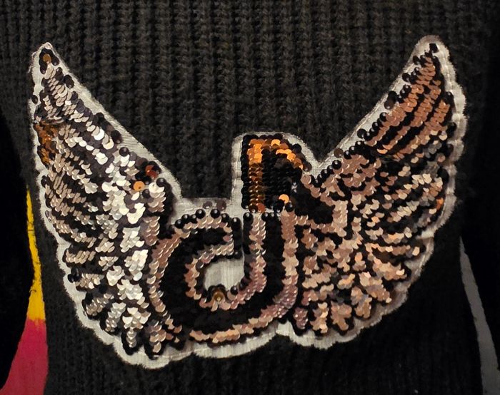 Pull Tiktok 14 ans - photo numéro 2