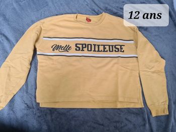 Pull Mlle Spoileuse