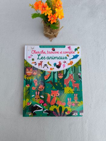 Livre Cherche, trouve et compte Lito