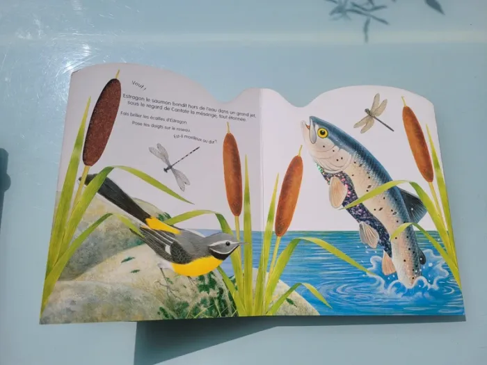 Rare, Superbe livre grand format à toucher 🐢 La vie dans la rivière 🐟 - photo numéro 6