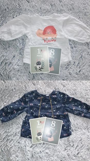 Lot de 2 t-shirts 18 mois