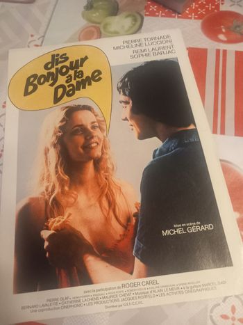 Affiche et synopsis du film : Dis bonjour à la dame