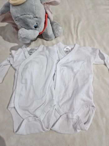 Bodies