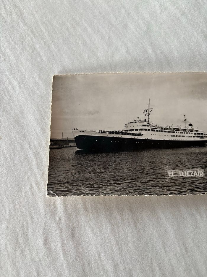 Carte postale vintage Alger - photo numéro 3