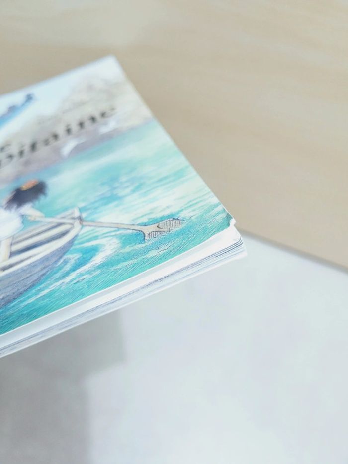 🌺 Livre (école des loisirs) : Le chapitaine - photo numéro 6