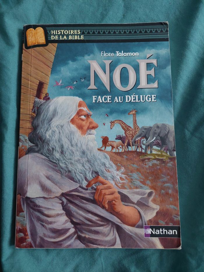 Livre : Noé face au déluge de Flore Talamon - photo numéro 1