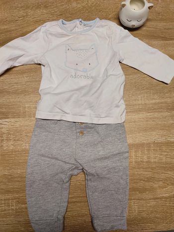 Ensemble renard 🦊