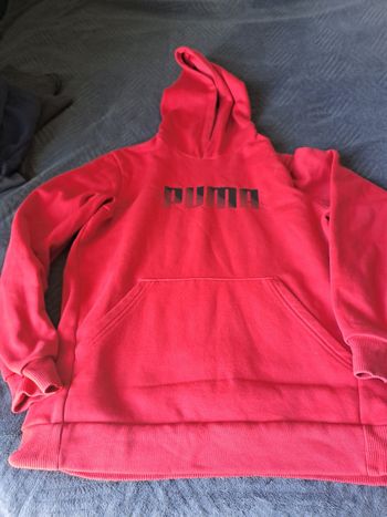 Pull puma 