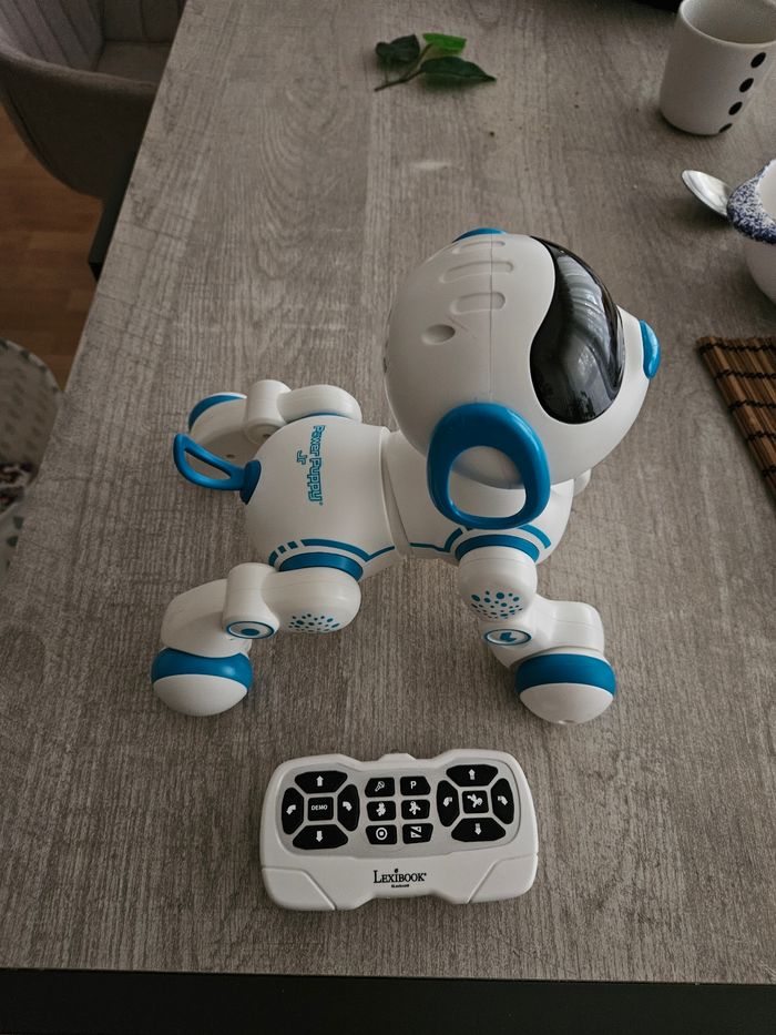 Chien Power puppy JR8 - photo numéro 3