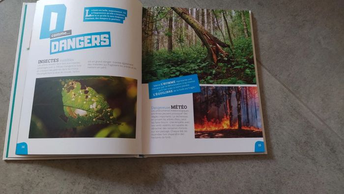 Livre ABC de la forêt - photo numéro 4