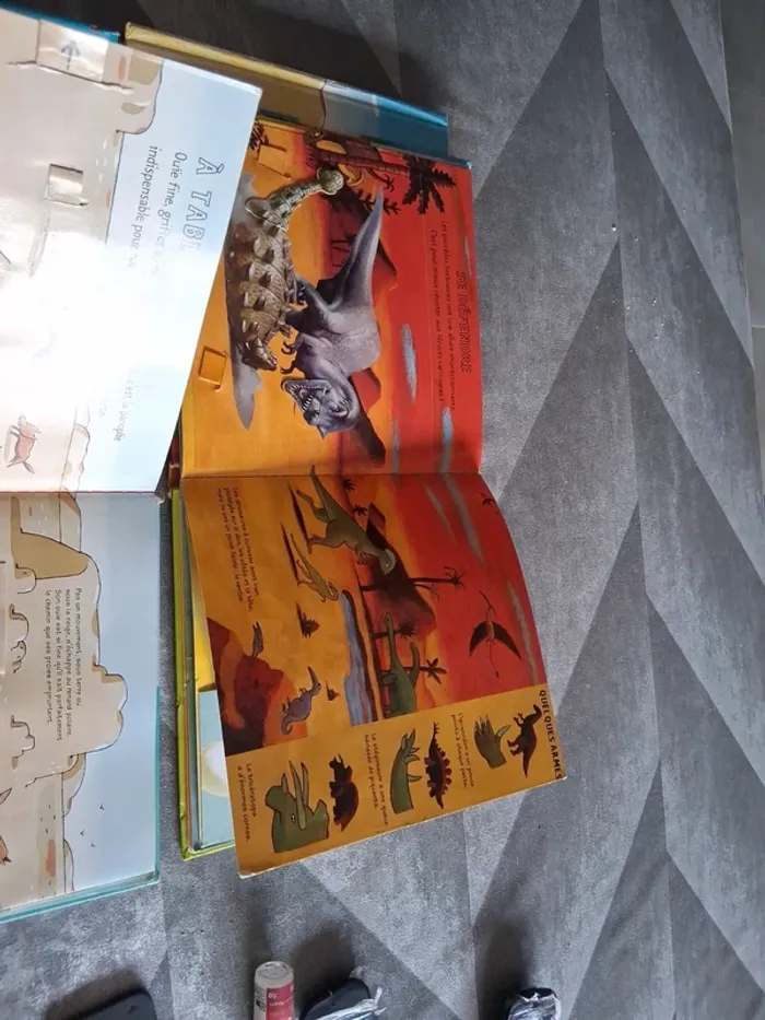 Lot de 4 livres kididoc - photo numéro 3