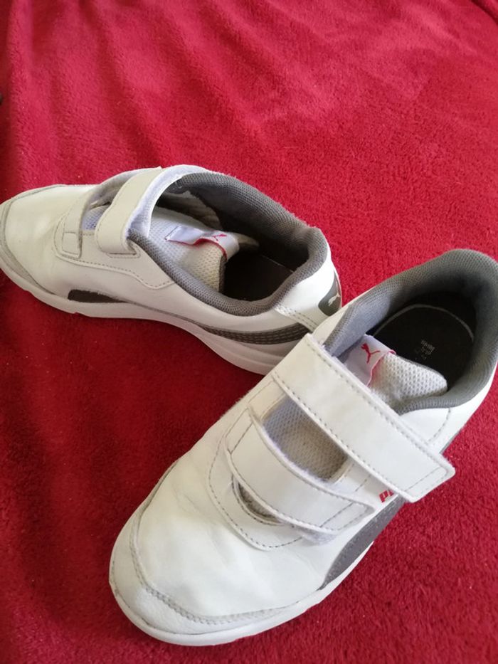 Basket Puma