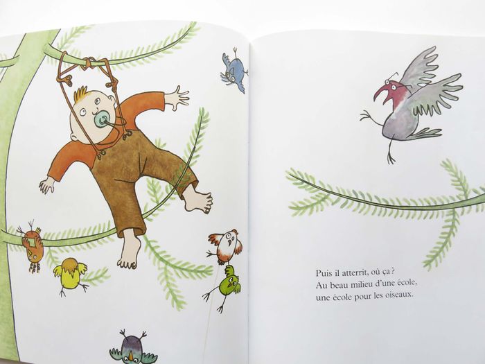 Album jeunesse 4-6 ans : Homère à l'école des oiseaux . (Jennifer Dalrymple - L'école des loisirs) - photo numéro 8