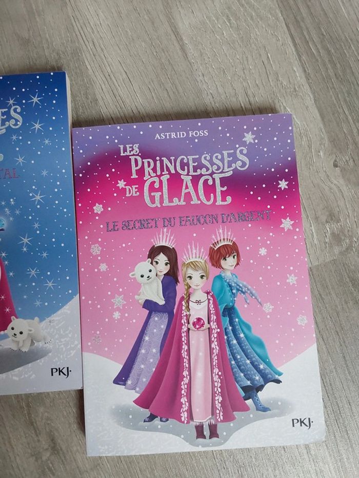 Lot de 2 livres Les Princesses de glace - photo numéro 3