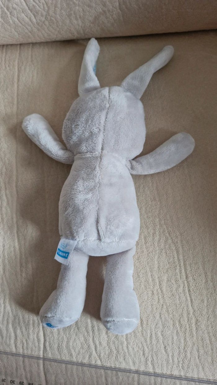 Lapin klorane oreilles et ventre bleu - photo numéro 4