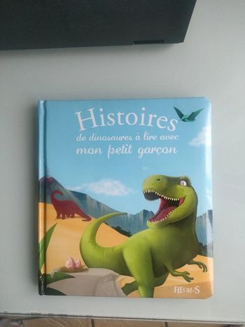 Livre histoire de dinosaures