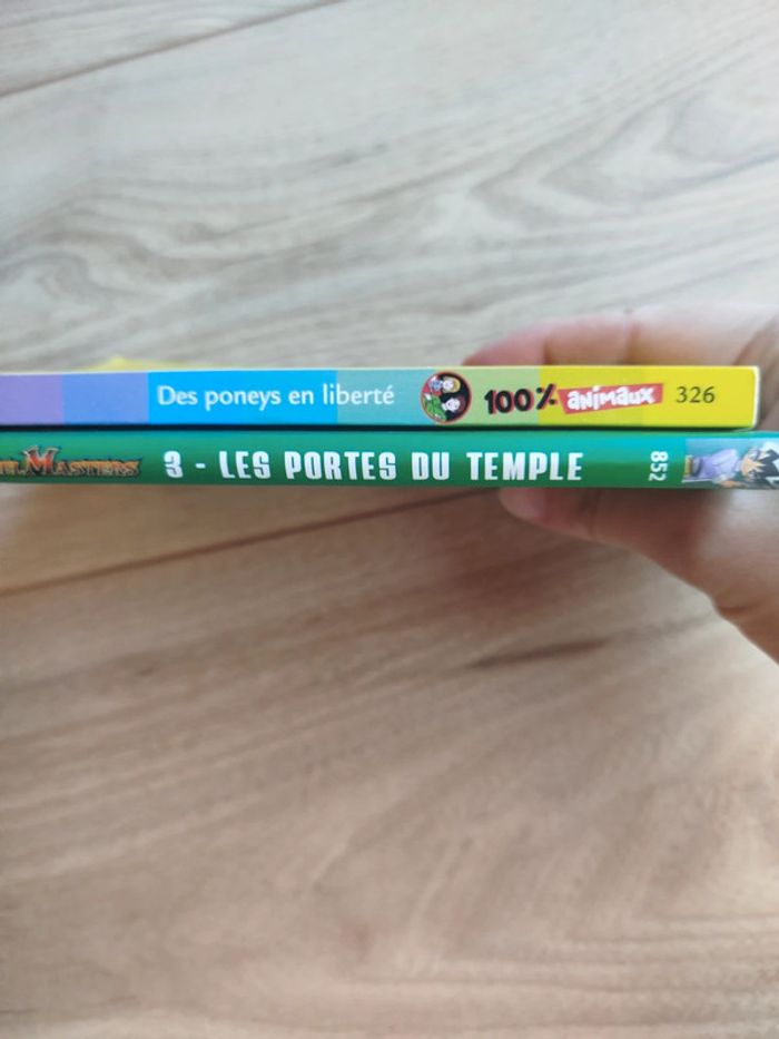 Lot de 2 livres - photo numéro 2