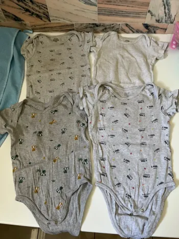 Lot 4 bodies