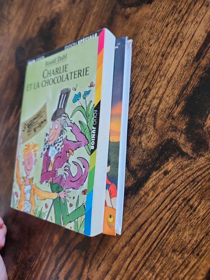 Lot de 2 livres : - photo numéro 3