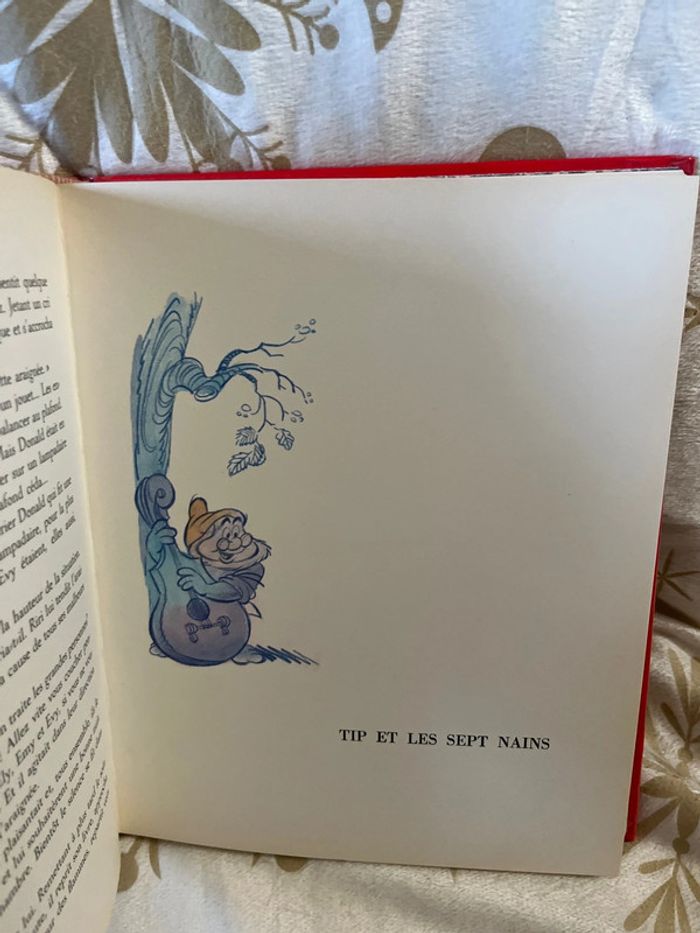 Livre vintage Walt Disney Les quatre flibustiers - photo numéro 8