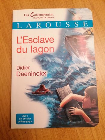 Livre L'esclave du lagon