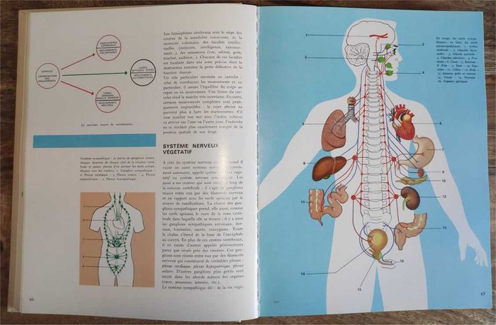 Encyclopédie Médicale de la Famille Vol. 1 Lidis - photo numéro 6