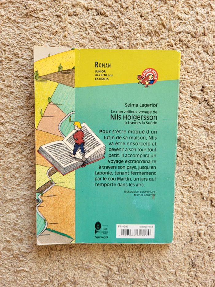 Livre Le merveilleux voyage de Nils Holgersson à travers La Suède de Selma Lagerlöf - Castor Poche - photo numéro 2