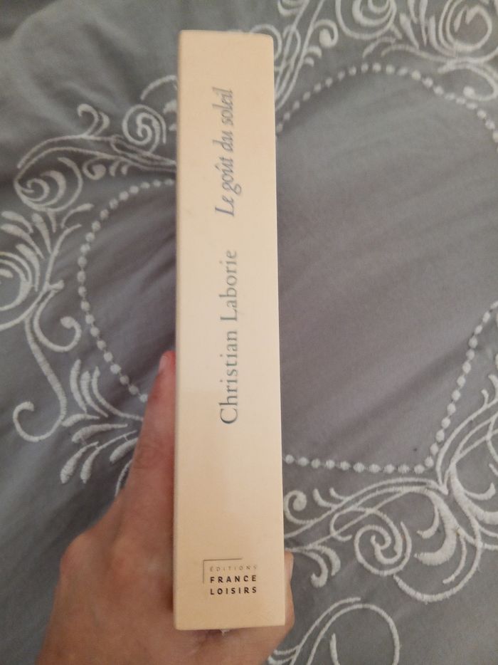Livre (16) 📚 Le goût du soleil - photo numéro 3