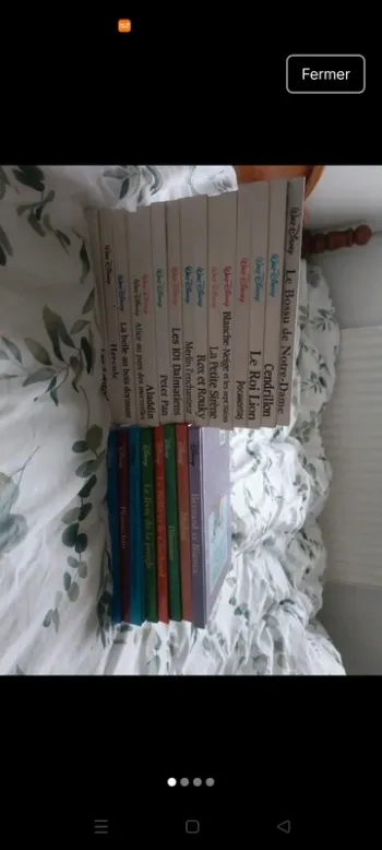 Lot livre Disney