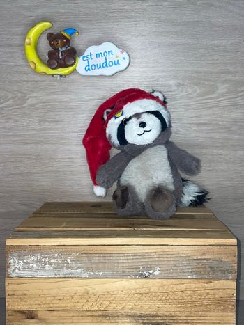 DIV462 doudou raton laveur 🦝 lidl