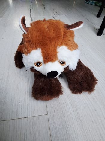 Peluche raton laveur à recoudre 25 cm de long