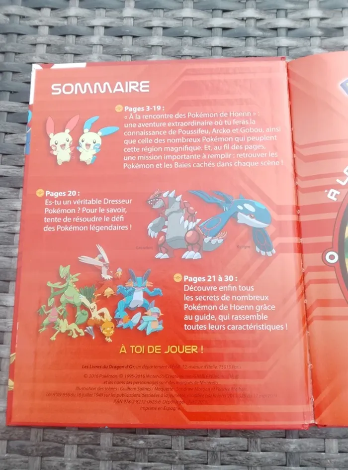 Livre enfant - Cherche et Trouve - Pokémon à Hoenn - photo numéro 4