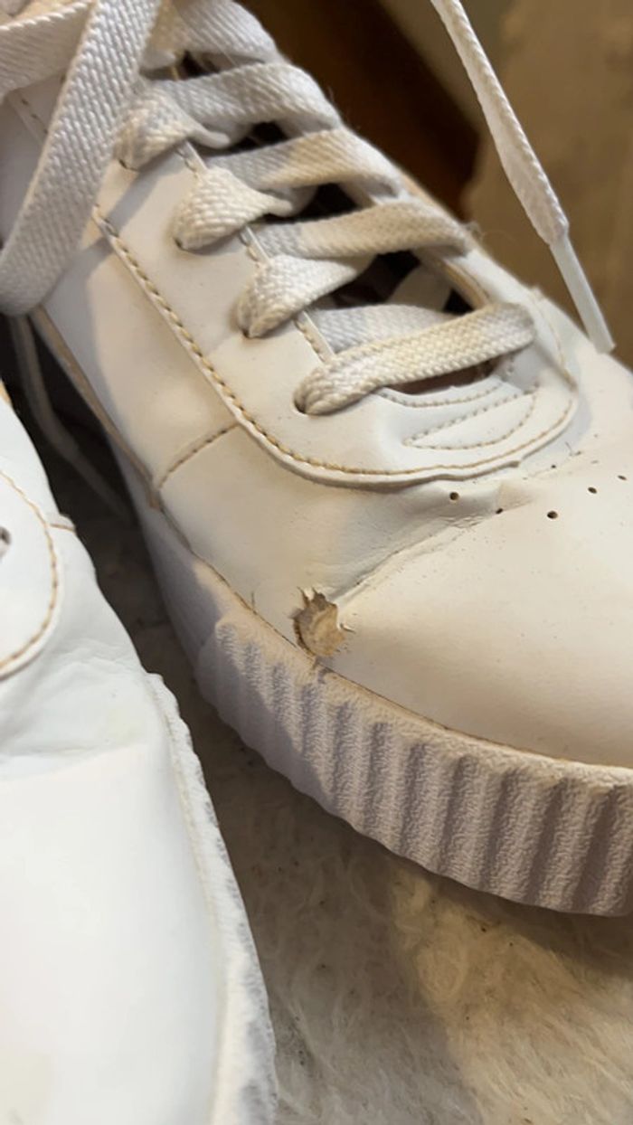 Paire puma - photo numéro 3