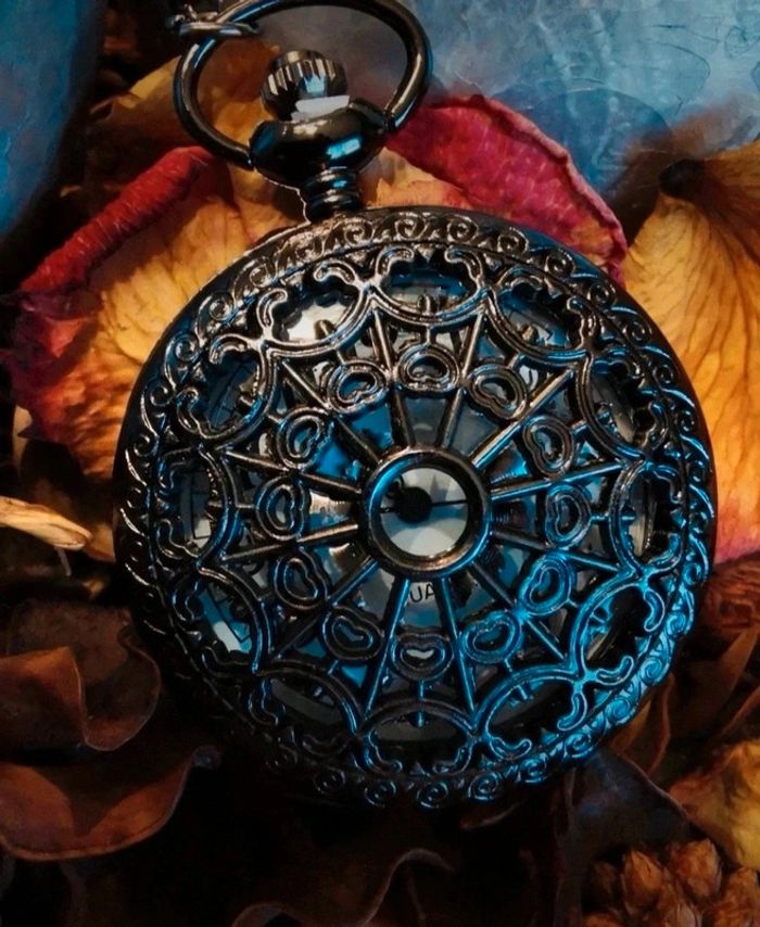 F61 montre à gousset rétro vintage originale bronze noire