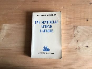Livre « une sentinelle attend l’aurore »