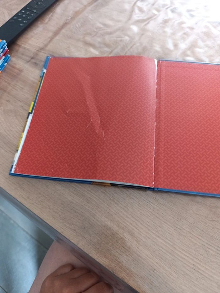 Livre paw patrol - photo numéro 6