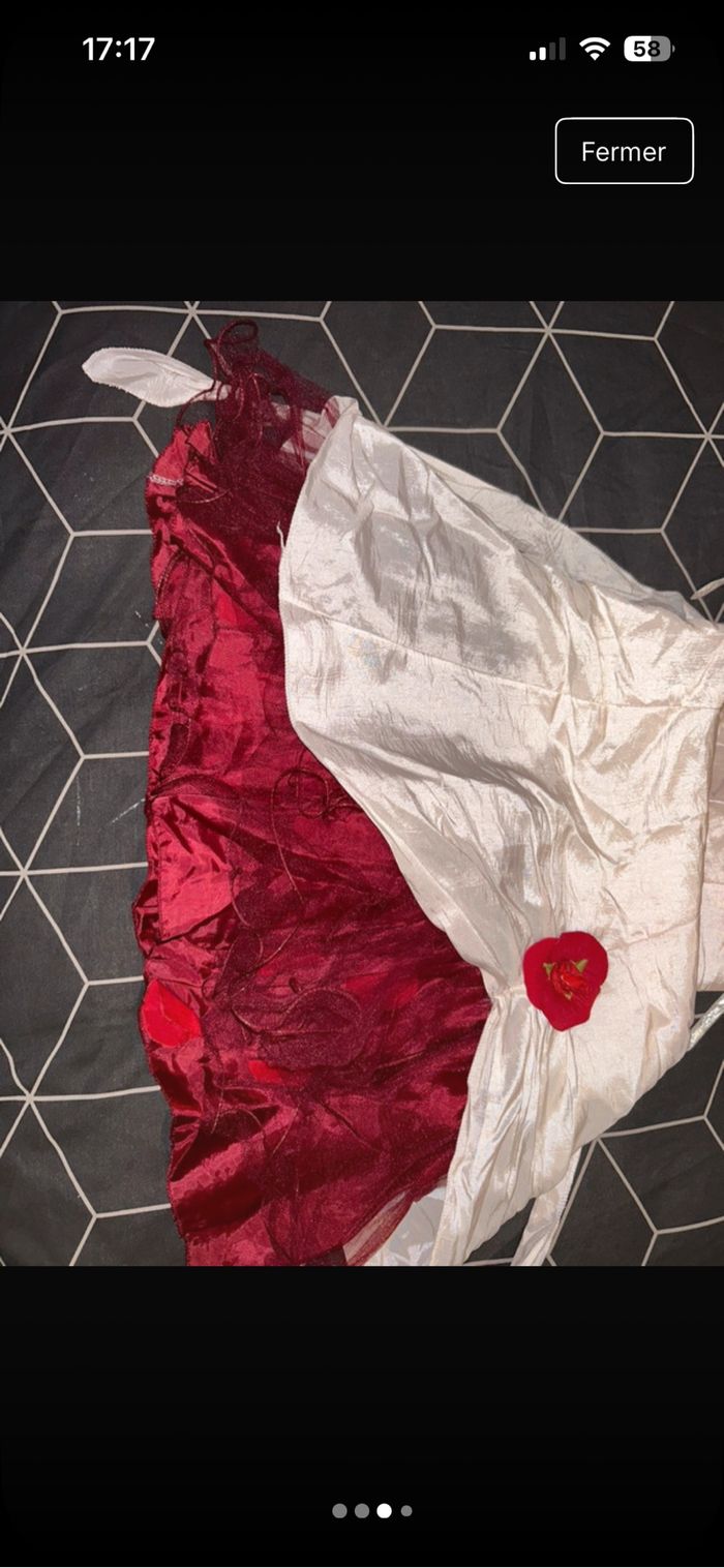Robe d’événement - photo numéro 3