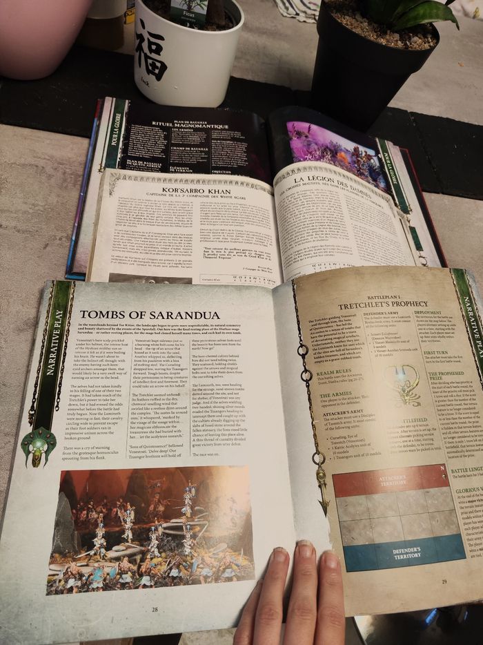 Lot 3 livres Warhammer - photo numéro 6