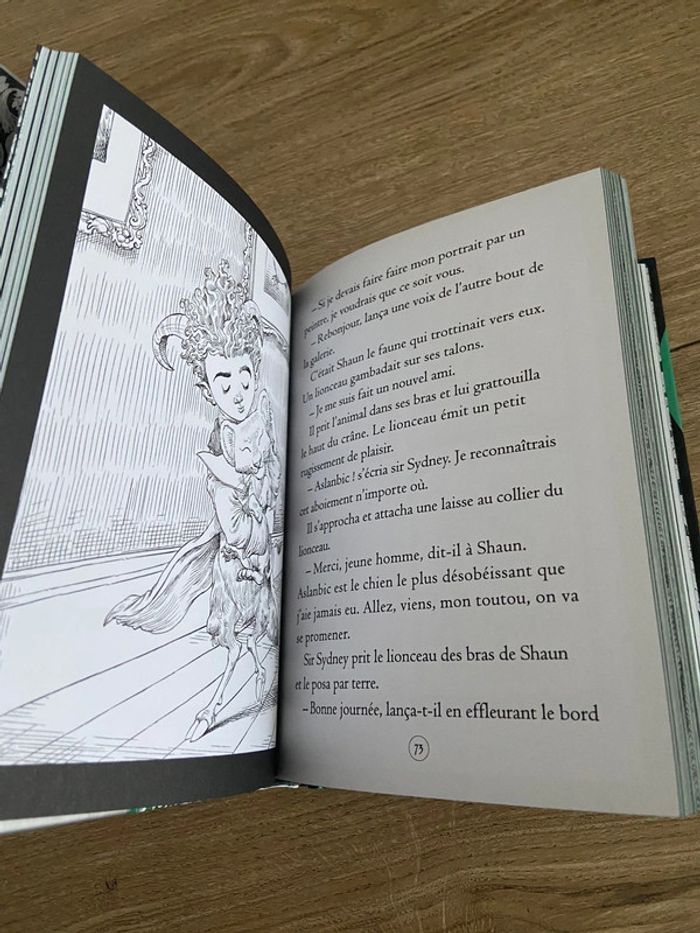 Livre lili Gothique la symphonie sinistre tome 4 - photo numéro 5