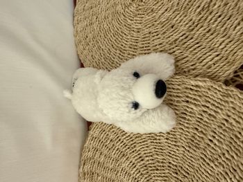 doudou ours polaire Ravensburger