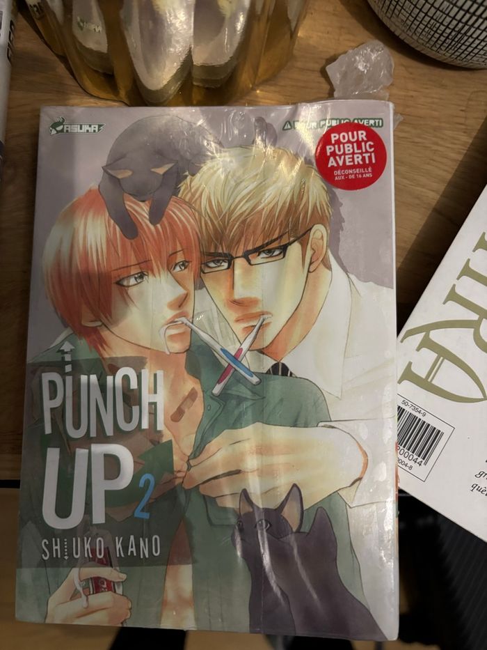 Mangas - photo numéro 9