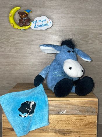 RGI30 doudou âne 🫏 Corsica 